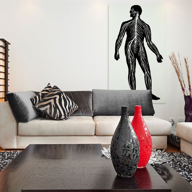 Anatomie des menschlichen Nervensystems Poster (Von Creator hochgeladen)