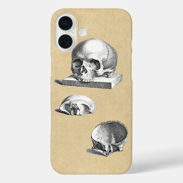 Anatomie des menschlichen Schädels Case-Mate iPhone Hülle (Rückseite)