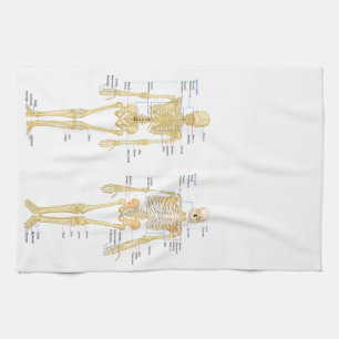 Anatomie des menschlichen Skeletts Küchentuch