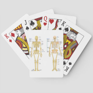 Anatomie des menschlichen Skeletts Spielkarten