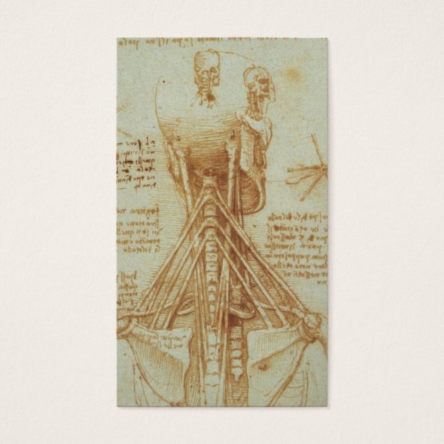 Anatomie des Necks von Leonardo Da Vinci c. 1515 (Vorderseite)