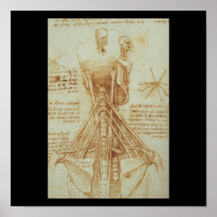 Anatomie des Necks von Leonardo Da Vinci c. 1515 Poster