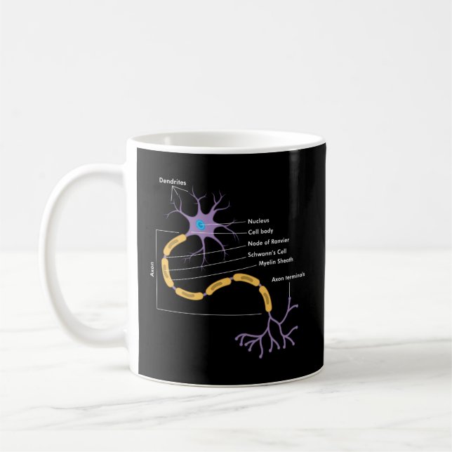 Anatomie des Neuron-Neurologen Kaffeetasse (Links)