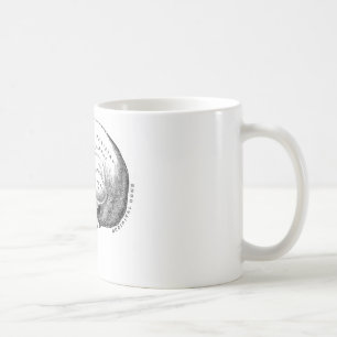 Anatomie des Schädels Tasse