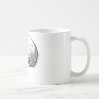 Anatomie des Schädels Tasse