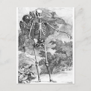 Anatomie des Todes Vintager Holzschnitt Postkarte
