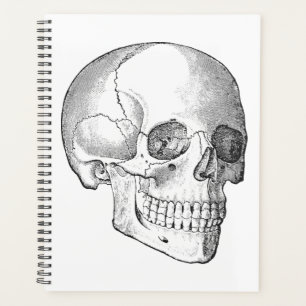 Anatomie des Vintagen Schädels, zeichnend monochro Planer