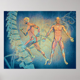 Anatomie digitale Kunst Poster