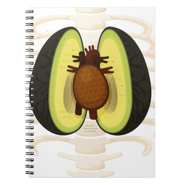 Anatomie einer Avocado Notizblock (Vorderseite)