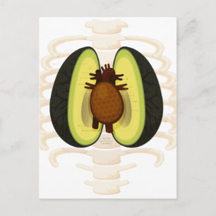 Anatomie einer Avocado Postkarte