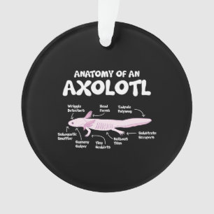 Anatomie einer axolotalen axolotls Biologie Ornament