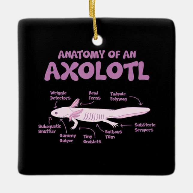 Anatomie einer axolotl axolotls Biologie Wissensch Keramikornament (Vorderseite)
