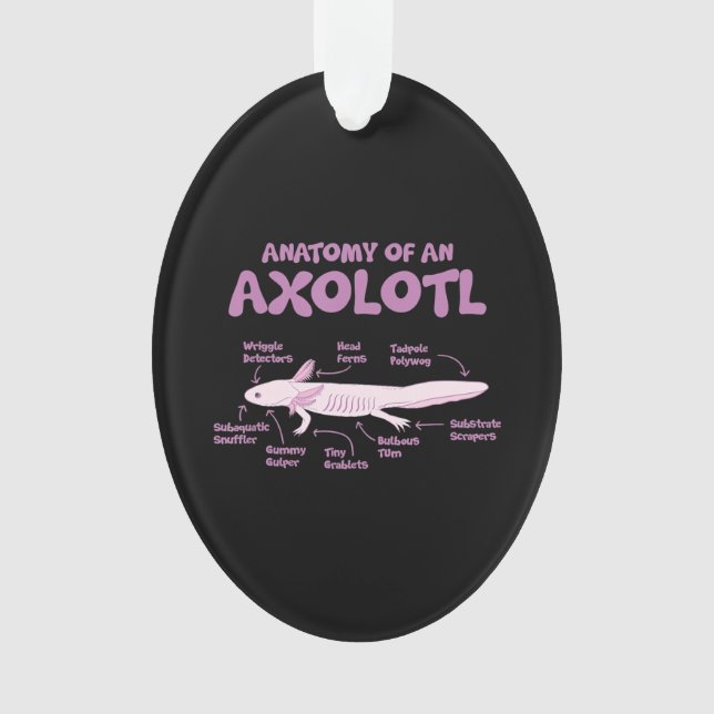 Anatomie einer axolotl axolotls Biologie Wissensch Ornament (Vorderseite)