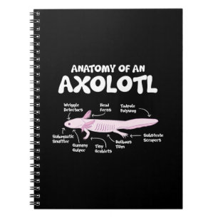 Anatomie einer axolotl axolotls biology science notizblock