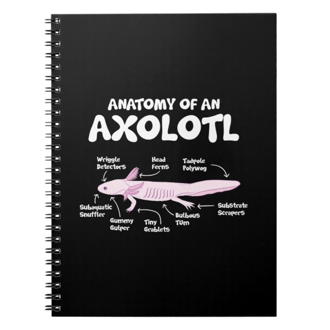 Anatomie einer axolotl axolotls biology science notizblock (Vorderseite)
