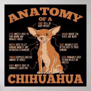 Anatomie einer Chihuahua-Leinwand Poster