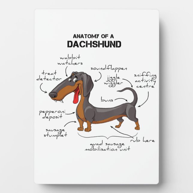 Anatomie einer Dackel - Witzhund Fotoplatte (Vorderseite)