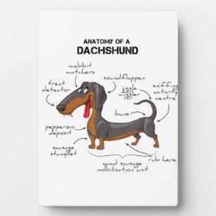 Anatomie einer Dackel - Witzhund Fotoplatte