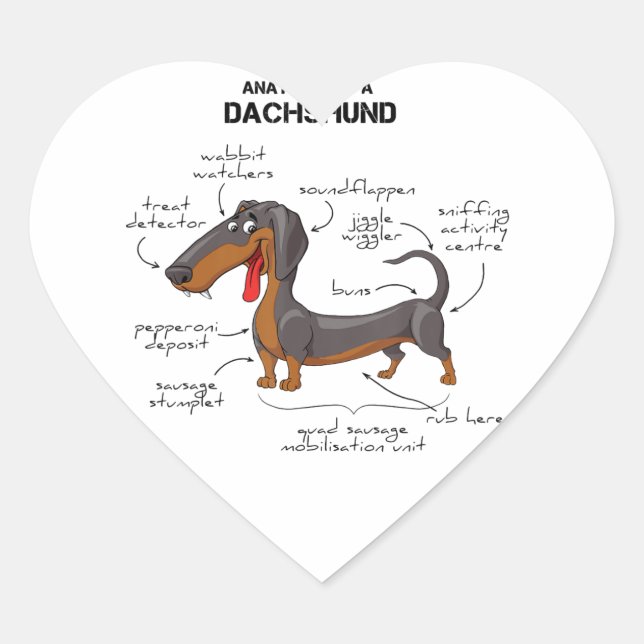 Anatomie einer Dackel - Witzhund Herz-Aufkleber (Vorderseite)