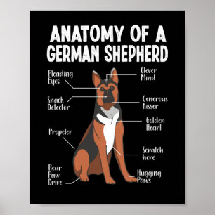 Anatomie einer deutschen Schäferhündin-Mama Poster