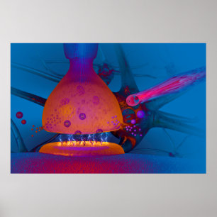 Anatomie einer Erschütterung Poster