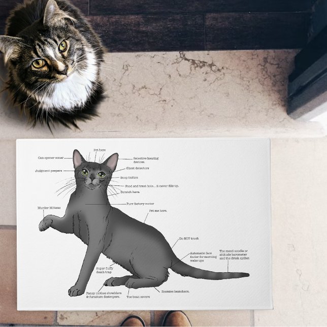 Anatomie einer Katze Fußmatte (Von Creator hochgeladen)