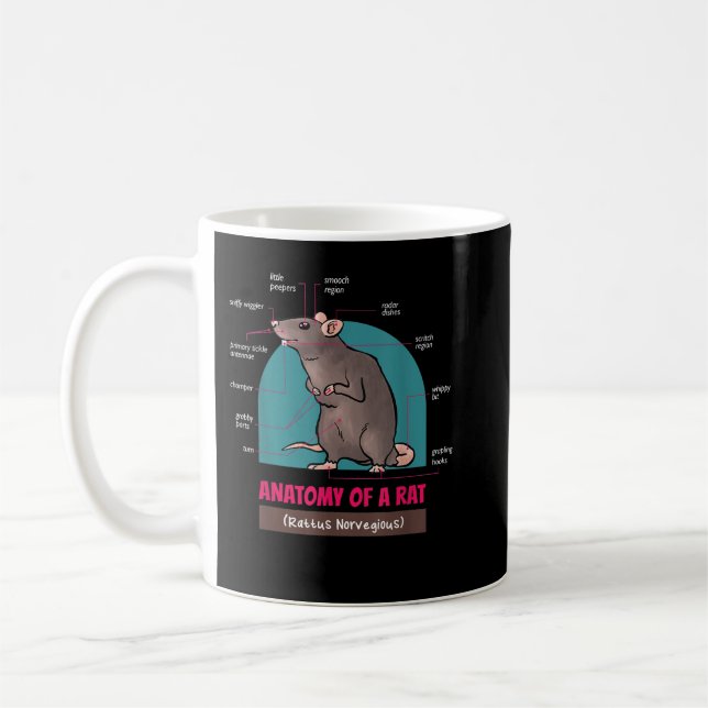 Anatomie einer Rattus-Rattus-Rattenras Kaffeetasse (Links)
