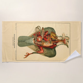 Anatomie einer Taube Strandtuch