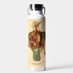 Anatomie einer Taube Trinkflasche