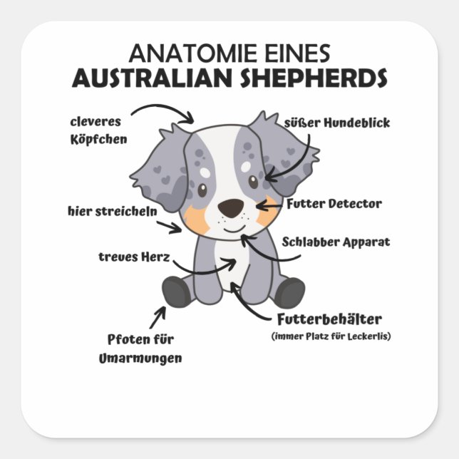 Anatomie eines australischen Hirten süße Hunde Quadratischer Aufkleber (Vorderseite)