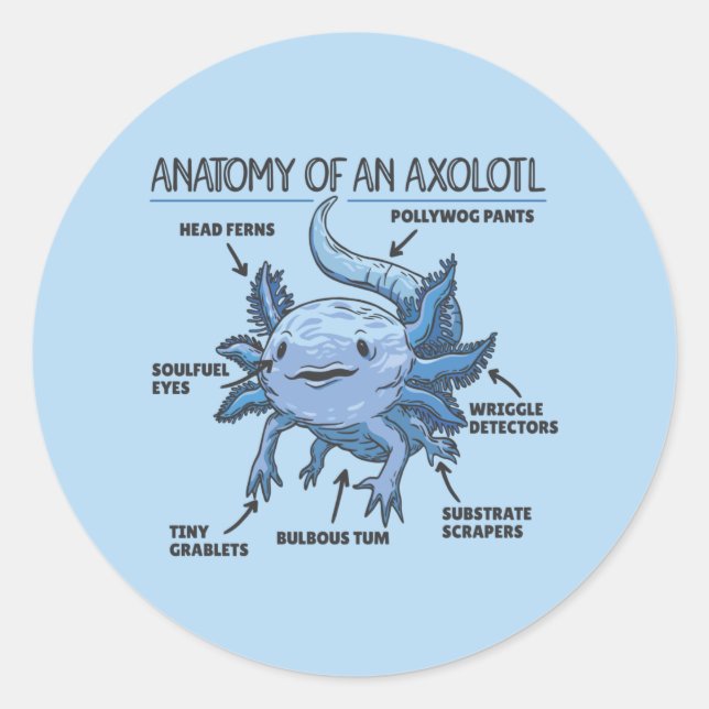 Anatomie eines Axolotl Classic Runder Aufkleber (Vorderseite)