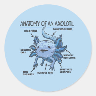 Anatomie eines Axolotl Classic Runder Aufkleber