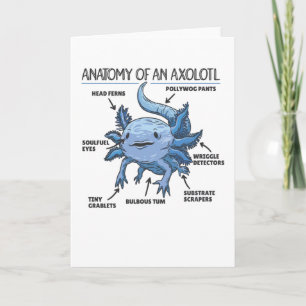 Anatomie eines Axolotl Karte