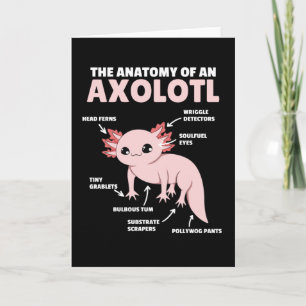 Anatomie eines Axolotl Karte