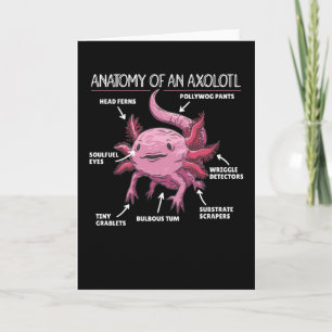 Anatomie eines Axolotl Karte