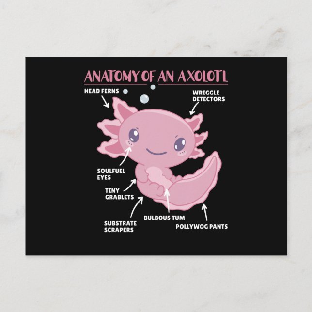 Anatomie eines Axolotl Postkarte (Vorderseite)