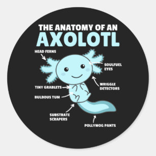 Anatomie eines Axolotl Runder Aufkleber