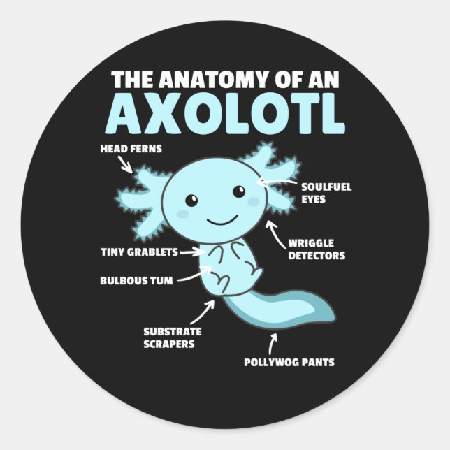 Anatomie eines Axolotl Runder Aufkleber (Vorderseite)
