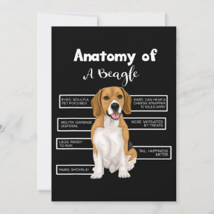 Anatomie eines Beagle Funny Hund Liebhaber Geschen Ankündigung