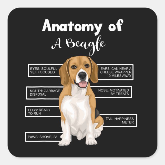 Anatomie eines Beagle Liebhaber von Hunden Quadratischer Aufkleber (Vorderseite)