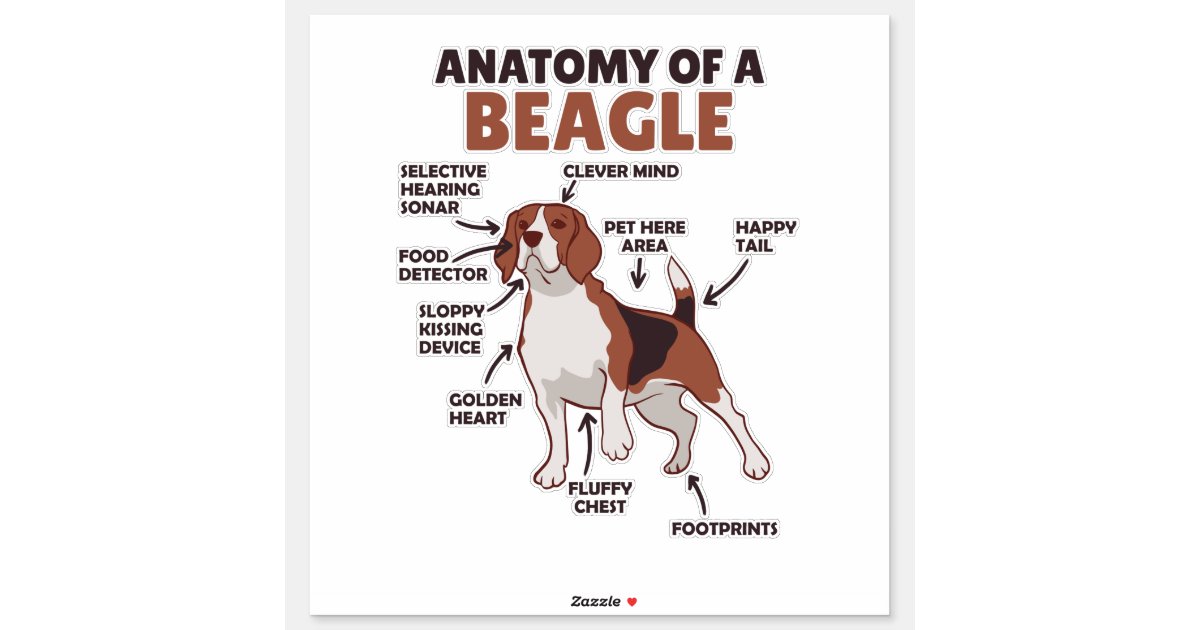 Anatomie eines Beagle Niedliche Hunde Funny Dog Be Aufkleber