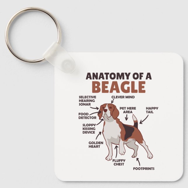 Anatomie eines Beagle Niedliche Hunde Funny Dog Be Schlüsselanhänger (Vorderseite)