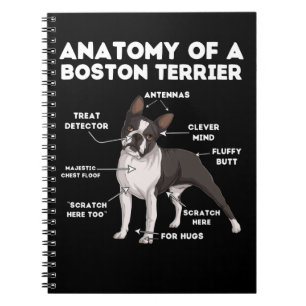 Anatomie eines Boston Terrier Notizblock