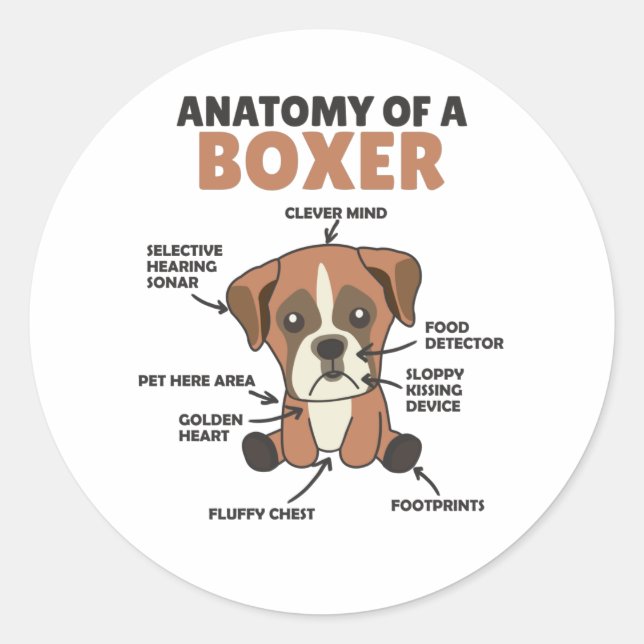 Anatomie eines Boxer Sweet Dog Welpen Runder Aufkleber (Vorderseite)