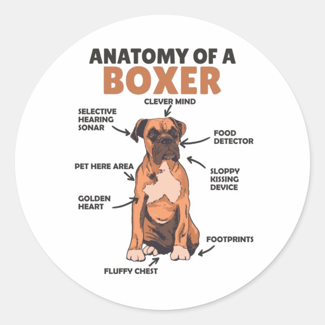Anatomie eines Boxer Sweet Dog Welpen Runder Aufkleber (Vorderseite)