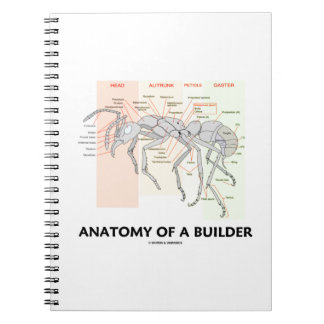 Anatomie eines Builders (Arbeiteranatomie) Notizblock