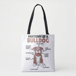 Anatomie eines Bulldoggen Hundes