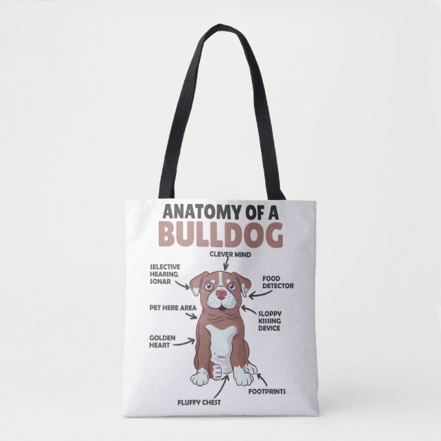 Anatomie eines Bulldoggen Hundes (Vorderseite)