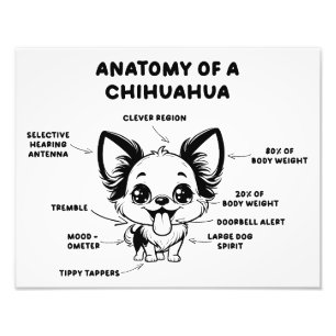 Anatomie eines Chihuahua Funny Dog Print Fotodruck
