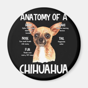 Anatomie eines Chihuahua für Hundeliebhaber Magnet